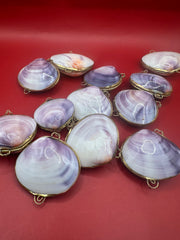 Purple clam shell coin purses group display - natural variation
