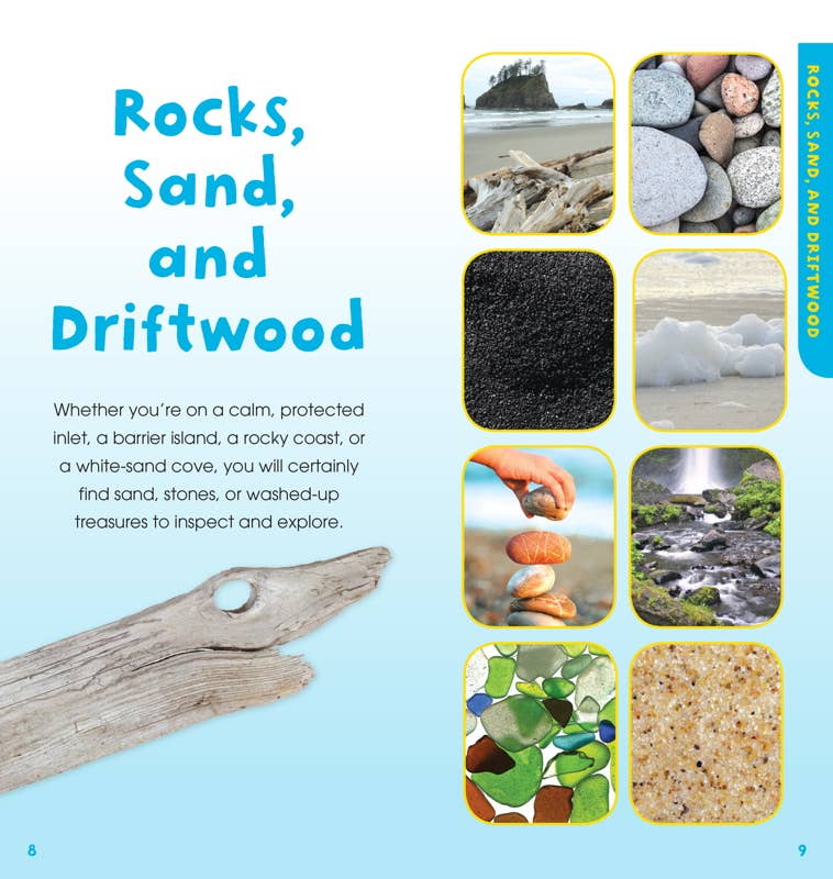 Page from a book about rocks, sand, and driftwood with images and text.
