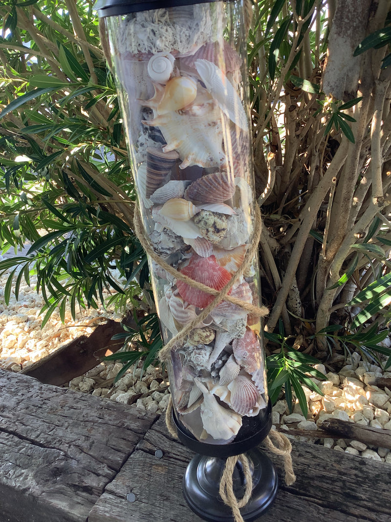 Side angle of tall shell-filled glass vase showcasing rustic coastal style