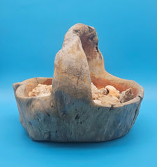 Hand-carved driftwood basket holding natural seashell collection – coastal living room accen