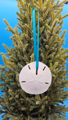 Sand dollar Christmas ornament on tree with blue ribbon - coastal holiday decoration