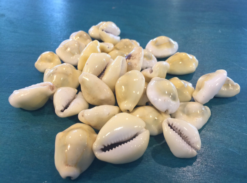 A pile of Money Cowrie shells with natural variations in yellow and white, displayed on a blue surface.