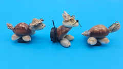 Seashell critter magnet close-up – small decorative coastal home accent