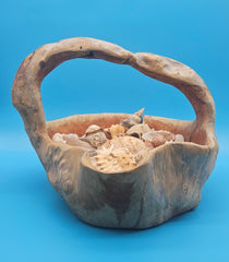Seashell display in rustic driftwood basket – beach-inspired home accessory