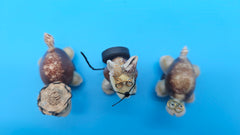 Seashell kitty magnet coastal fridge decor accent