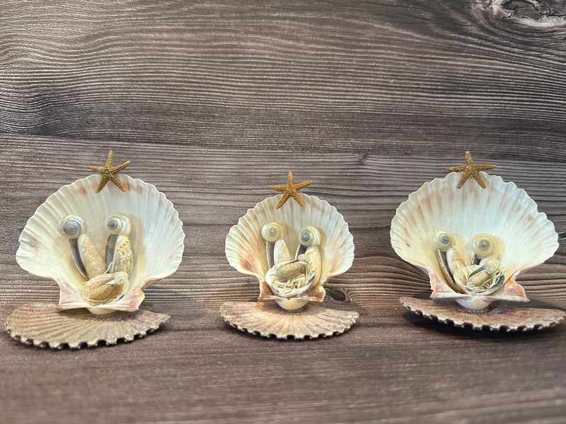 Handmade Seashell Nativity Scene featuring real shells with a starfish on top, unique and one-of-a-kind, approximately 4"x3"