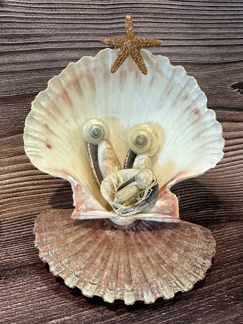 Handmade Seashell Nativity Scene featuring real shells with a starfish on top, unique and one-of-a-kind, approximately 4"x3"