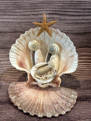 Handmade Seashell Nativity Scene featuring real shells with a starfish on top, unique and one-of-a-kind, approximately 4