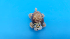 Seashell turtle magnet with glasses – ocean-inspired fridge accessory
