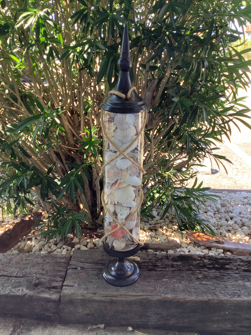 Full view of tall 37-inch rustic glass vase filled with assorted natural seashells