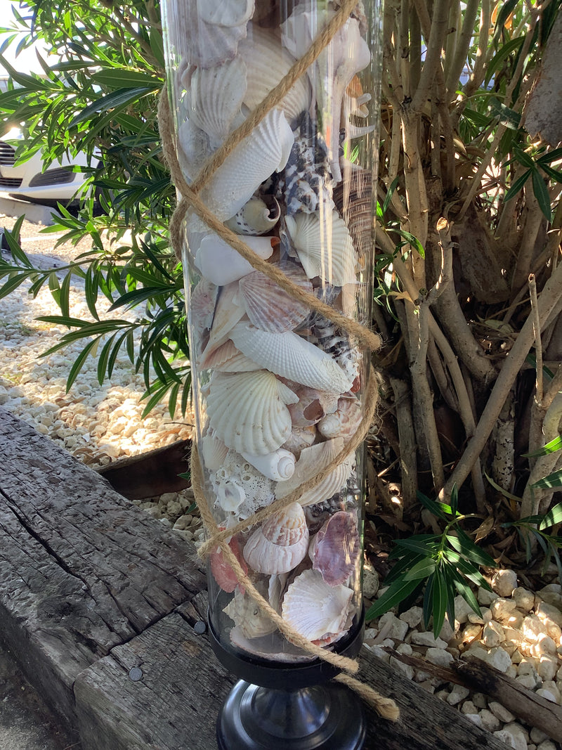 Close-up of assorted natural shells inside rustic coastal glass vase