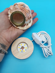 Bottom view of cameo shell showing LED base and USB switch cord