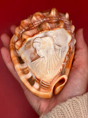 Shell with a engraved design held in a hand against a red background