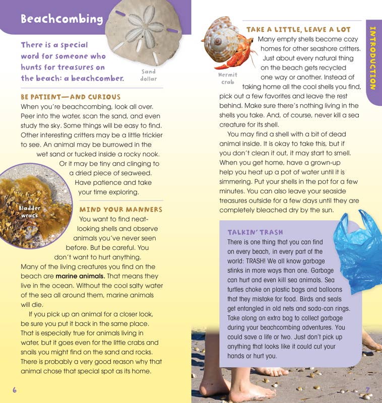 Children's book page about beachcombing with illustrations and text.