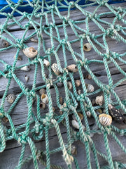 A group of small shells scattered on a green rope net, emphasizing the coastal theme.