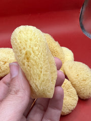 Hand holding a yellow sponge against a red background