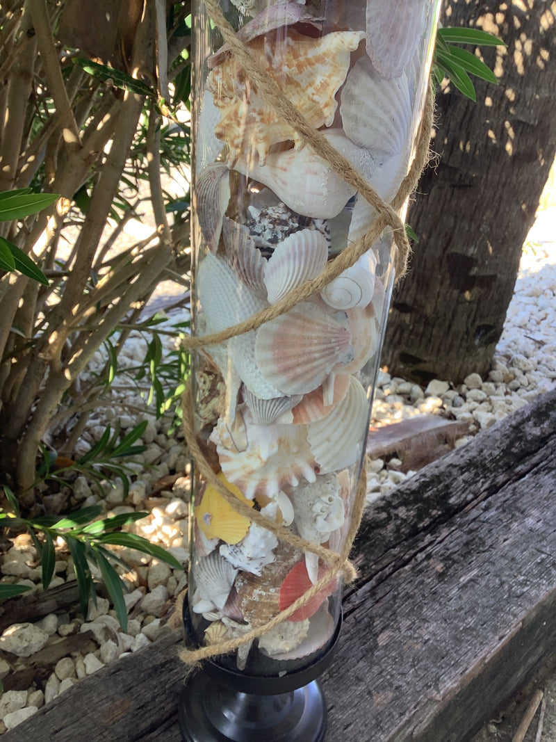 Detail view of vase base showing shell layers and clear glass texture