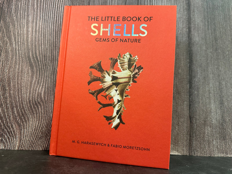 Cover of The Little Book of Shells: Gems of Nature by M.G. Harasewych and Fabio Moretzsohn, featuring an intricate shell illustration.