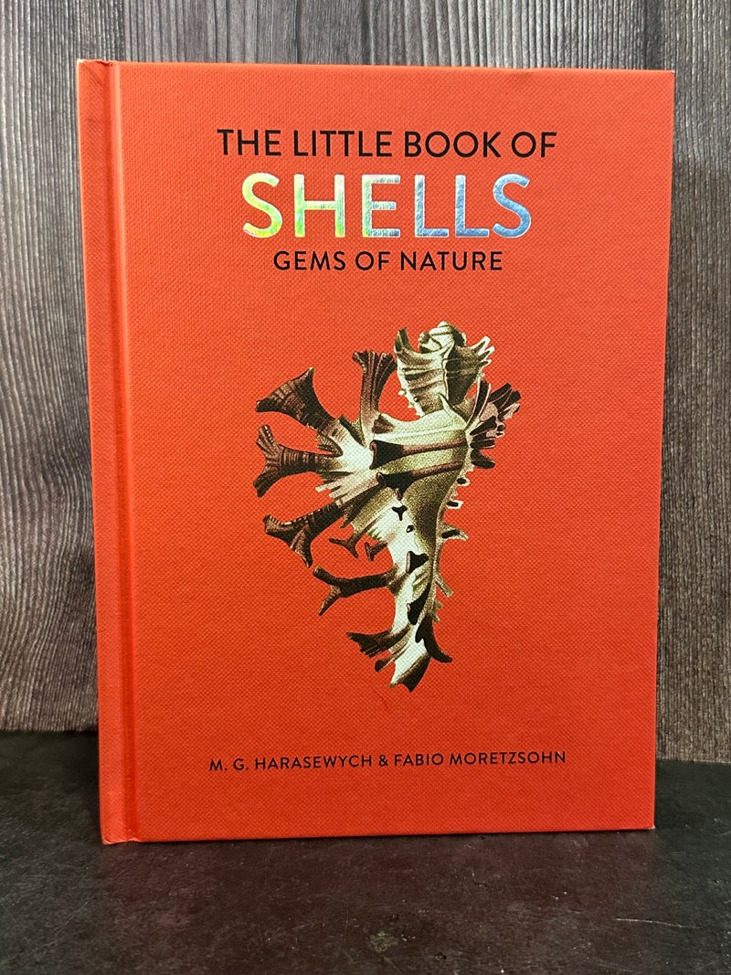 Cover of The Little Book of Shells: Gems of Nature by M.G. Harasewych and Fabio Moretzsohn, featuring an intricate shell illustration.