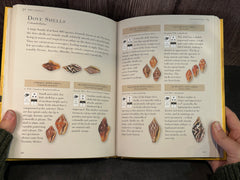 Inside view of The Shell Hunter's Handbook by Kenneth R. Wye, pre-owned hardcover edition, a guide for seashell collecting enthusiasts.