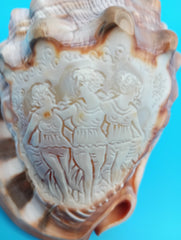 Carved cameo Three Graces shell 4.4
