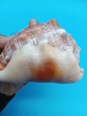 Hand-held carved cameo Three Graces shell 4.4