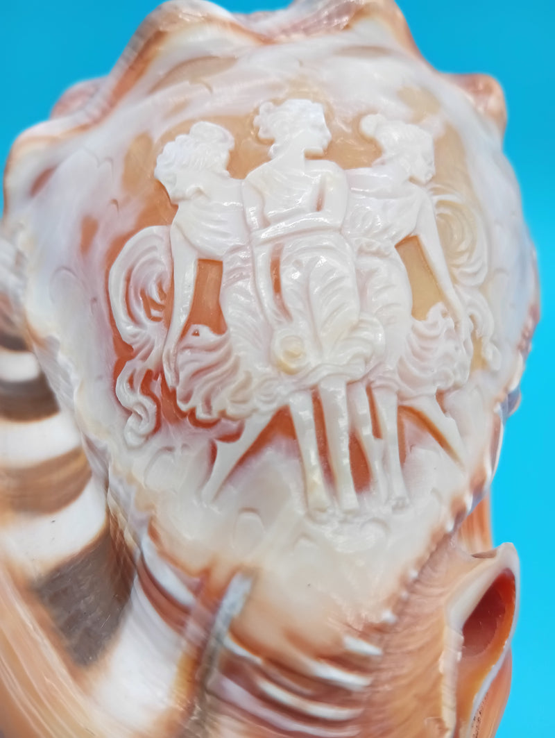 Carved Cameo Helmet Shell 5" – Three Graces relief, Scognamiglio Italy