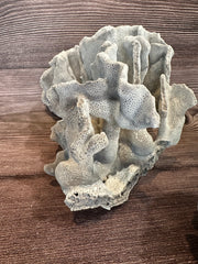 Angled front view of vintage Blue Ridge coral specimen - natural decorative coral piece