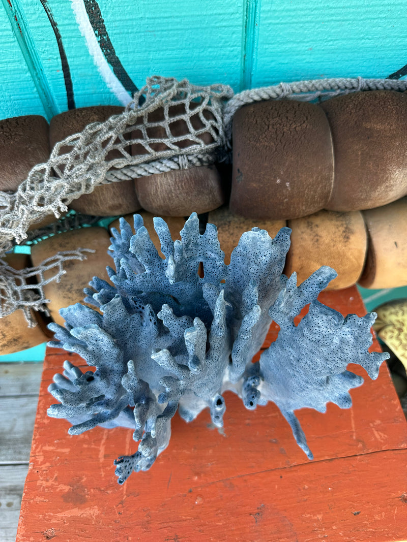 Vintage Blue Ridge Coral branching detail