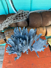 Vintage Blue Ridge Coral branching detail