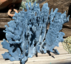 Vintage Blue Ridge Coral exact piece 10x9x7