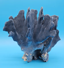 Blue Ridge Coral vintage specimen with deep indigo tones