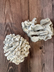 Two vintage Blue Ridge coral specimens displayed together - coastal home decor accents