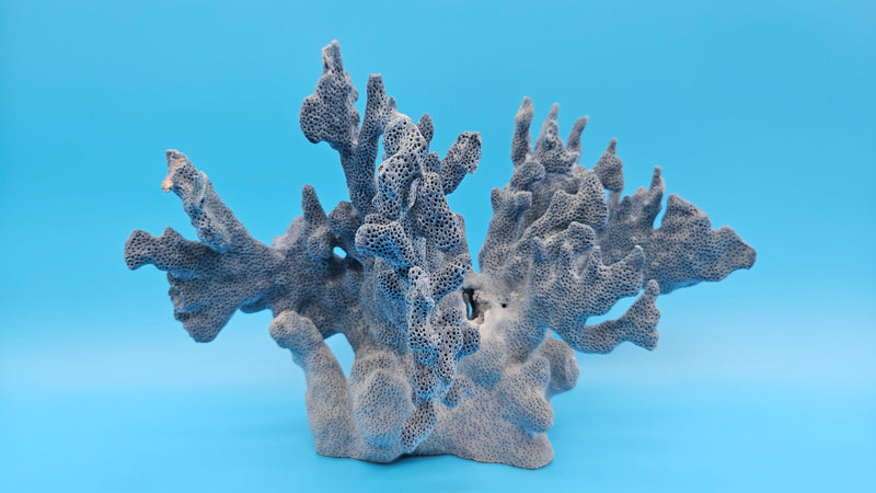 Vintage Blue Ridge Coral Natural Coastal Marine Decor
