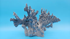 Vintage Blue Ridge Coral Natural Coastal Marine Decor