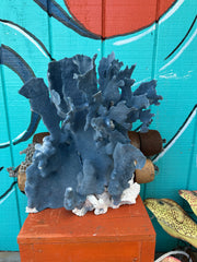 Vintage Blue Ridge Coral shown with hand for size reference