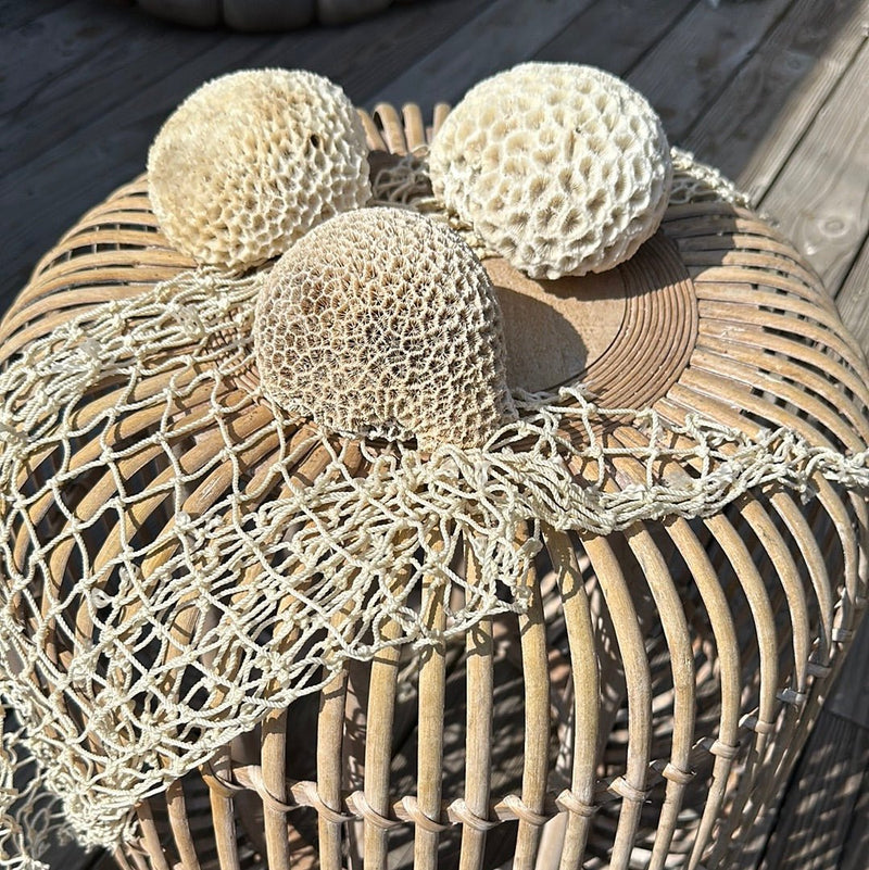 Three vintage brain coral specimens side by side on wicker - decorative coastal accents