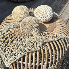Three vintage brain coral specimens side by side on wicker - decorative coastal accents
