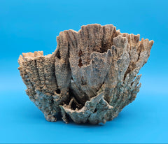 Brown vintage coral specimen for coastal home styling