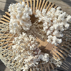 Angled overhead view of vintage Brownstem coral specimens - natural coastal home decor pieces