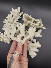 Vintage mini white coral specimen angled view - natural decorative coral piece