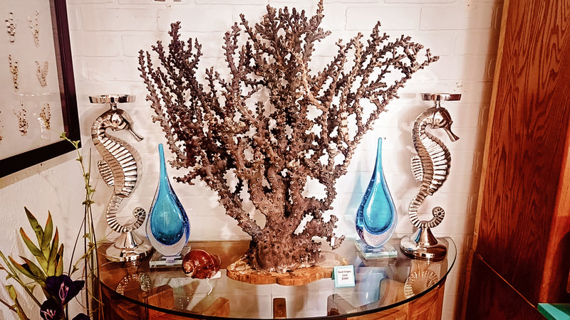 Vintage octopus coral specimen for coastal home decor - natural marine piece"