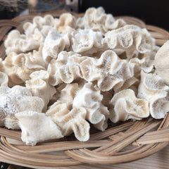 Group of vintage rose coral specimens displayed in basket - natural coastal home decor accents
