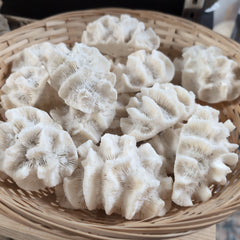 Small cluster of vintage rose coral specimens - natural decorative coastal accents