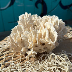Angled view of vintage Rugosa coral specimen showing layered texture - decorative coastal coral