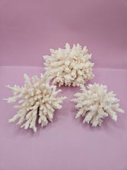 Vintage table coral cluster with detailed branches - natural decorative coral accent