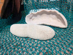 Vintage white oblong bowl coral specimen displayed on netting - natural coastal home decor piece