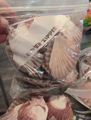 Broken pieces of Mexican Flat Scallops inside of a ziplock bag.