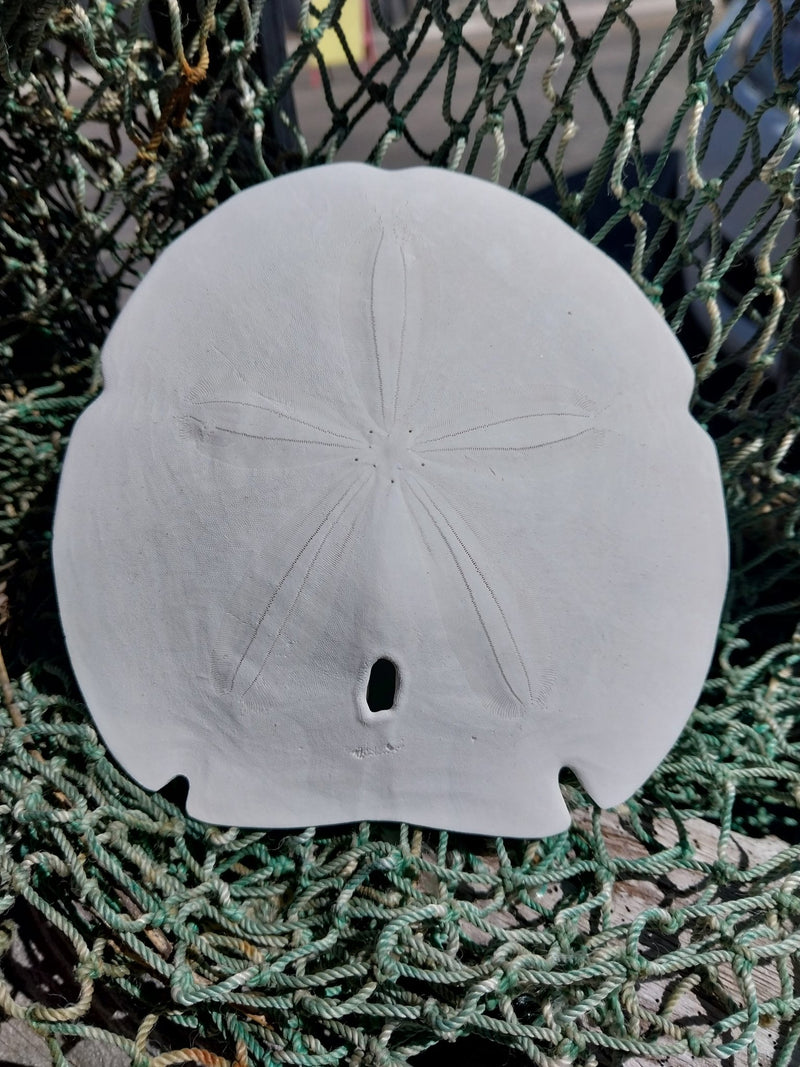 Arrowhead Sand Dollar - Four Sizes - Sand DollarLoving Coastal Living