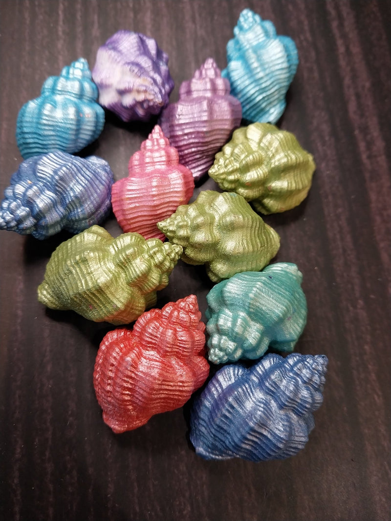 Assorted Colorful Goblet Shell - Loving Coastal Living